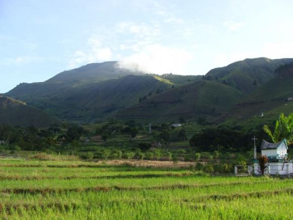 gal/02-Asie/29-Indonesie/01-Sumatra/DSC03330.JPG