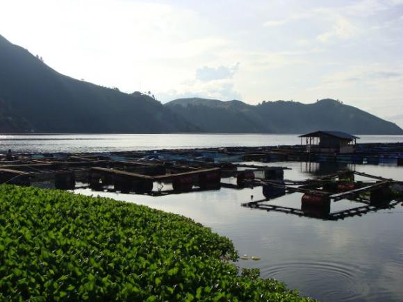 gal/02-Asie/29-Indonesie/01-Sumatra/DSC03332.JPG
