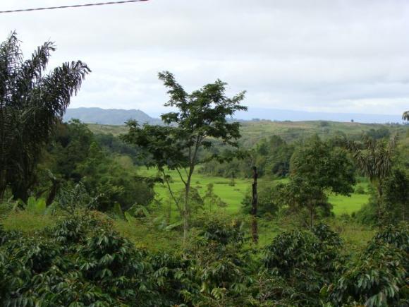 gal/02-Asie/29-Indonesie/01-Sumatra/DSC03370.JPG