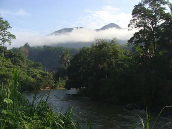 gal/02-Asie/29-Indonesie/01-Sumatra/DSC03402.JPG
