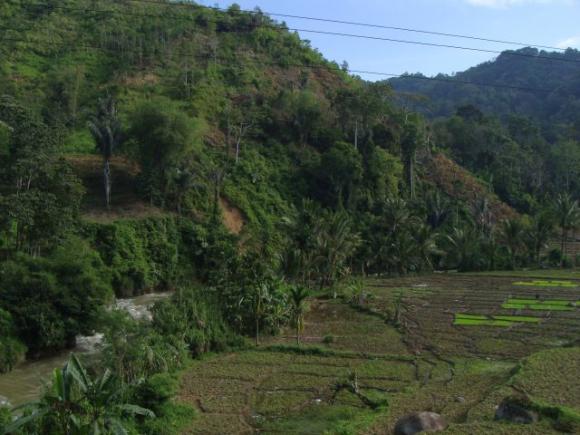 gal/02-Asie/29-Indonesie/01-Sumatra/DSC03410.JPG