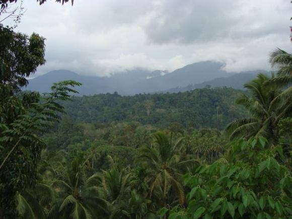 gal/02-Asie/29-Indonesie/01-Sumatra/DSC03415.JPG