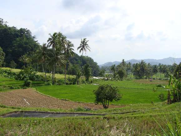 gal/02-Asie/29-Indonesie/01-Sumatra/DSC03435.JPG