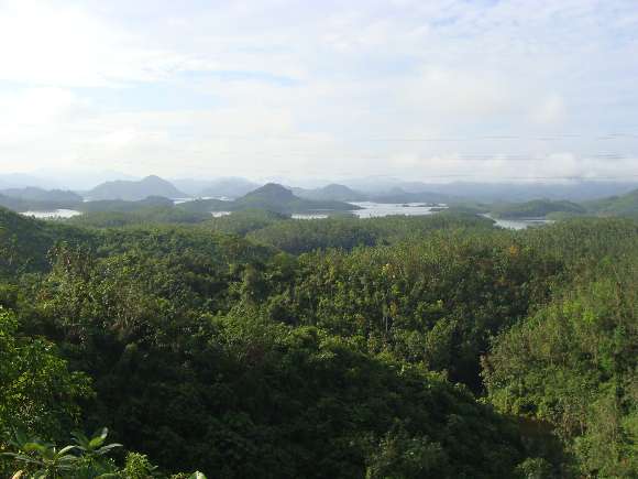 gal/02-Asie/29-Indonesie/01-Sumatra/DSC03441.JPG