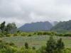 gal/02-Asie/29-Indonesie/01-Sumatra/_thb_DSC03310.JPG