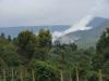 gal/02-Asie/29-Indonesie/01-Sumatra/_thb_DSC03322.JPG