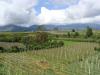 gal/02-Asie/29-Indonesie/01-Sumatra/_thb_DSC03337.JPG