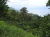 gal/02-Asie/29-Indonesie/01-Sumatra/_thb_DSC03340.JPG
