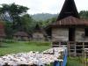 gal/02-Asie/29-Indonesie/01-Sumatra/_thb_DSC03355.JPG