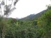 gal/02-Asie/29-Indonesie/01-Sumatra/_thb_DSC03371.JPG