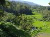 gal/02-Asie/29-Indonesie/01-Sumatra/_thb_DSC03388.JPG