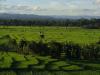 gal/02-Asie/29-Indonesie/01-Sumatra/_thb_DSC03394.JPG