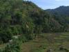 gal/02-Asie/29-Indonesie/01-Sumatra/_thb_DSC03410.JPG