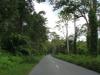 gal/02-Asie/29-Indonesie/01-Sumatra/_thb_DSC03412.JPG