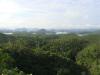 gal/02-Asie/29-Indonesie/01-Sumatra/_thb_DSC03441.JPG