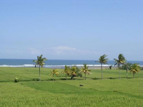 gal/02-Asie/29-Indonesie/03-Bali/DSC03889.JPG