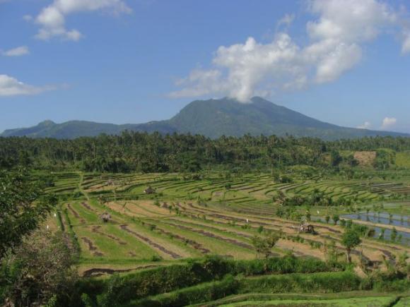gal/02-Asie/29-Indonesie/03-Bali/DSC03992.JPG