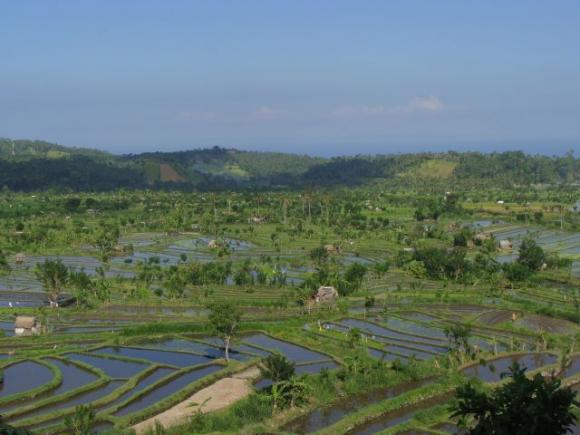 gal/02-Asie/29-Indonesie/03-Bali/DSC03994.JPG