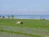 gal/02-Asie/29-Indonesie/03-Bali/_thb_DSC03888.JPG