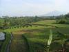 gal/02-Asie/29-Indonesie/03-Bali/_thb_DSC03937.JPG