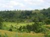 gal/02-Asie/29-Indonesie/03-Bali/_thb_DSC03938.JPG