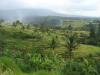 gal/02-Asie/29-Indonesie/03-Bali/_thb_DSC03941.JPG