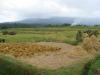 gal/02-Asie/29-Indonesie/03-Bali/_thb_DSC03943.JPG