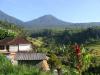 gal/02-Asie/29-Indonesie/03-Bali/_thb_DSC03947.JPG