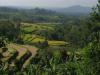 gal/02-Asie/29-Indonesie/03-Bali/_thb_DSC03950.JPG