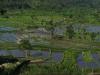 gal/02-Asie/29-Indonesie/03-Bali/_thb_DSC03997.JPG