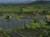 gal/02-Asie/29-Indonesie/03-Bali/_thb_DSC03998.JPG