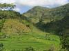 gal/02-Asie/29-Indonesie/03-Bali/_thb_DSC04000.JPG