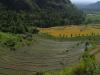 gal/02-Asie/29-Indonesie/03-Bali/_thb_DSC04001.JPG