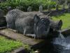 gal/02-Asie/29-Indonesie/03-Bali/_thb_DSC04013.JPG