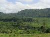 gal/02-Asie/29-Indonesie/03-Bali/_thb_DSC04070.JPG