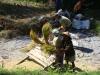gal/02-Asie/29-Indonesie/04-Lombok/_thb_DSC04053.JPG