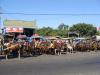 gal/02-Asie/29-Indonesie/04-Lombok/_thb_DSC04059.JPG