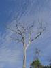 gal/02-Asie/30-Brunei/_thb_DSC03753.JPG