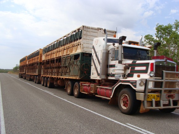 gal/03-Oceanie/32-Australie/01-Territoire_du_Nord/02-route_Queensland/DSC04252.jpg
