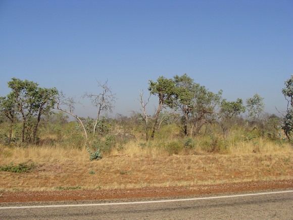 gal/03-Oceanie/32-Australie/01-Territoire_du_Nord/02-route_Queensland/DSC04279.jpg