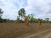 gal/03-Oceanie/32-Australie/01-Territoire_du_Nord/02-route_Queensland/_thb_DSC04232.jpg