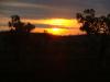 gal/03-Oceanie/32-Australie/01-Territoire_du_Nord/02-route_Queensland/_thb_DSC04240.jpg