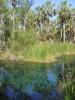 gal/03-Oceanie/32-Australie/01-Territoire_du_Nord/02-route_Queensland/_thb_DSC04264.jpg