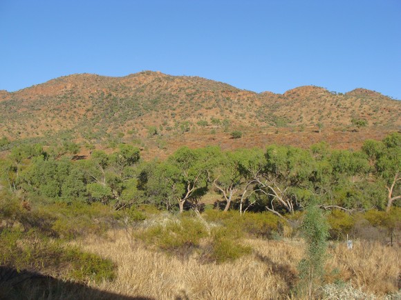 gal/03-Oceanie/32-Australie/02-Queensland/01-route_Townsville/DSC04298.jpg
