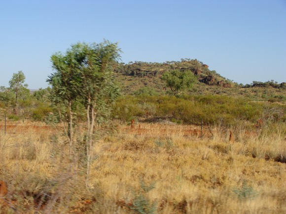 gal/03-Oceanie/32-Australie/02-Queensland/01-route_Townsville/DSC04300.jpg