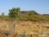 gal/03-Oceanie/32-Australie/02-Queensland/01-route_Townsville/_thb_DSC04300.jpg