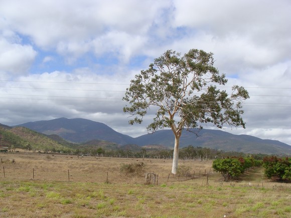 gal/03-Oceanie/32-Australie/02-Queensland/03-route_Toowoomba/01-le_parcours/DSC04323.jpg