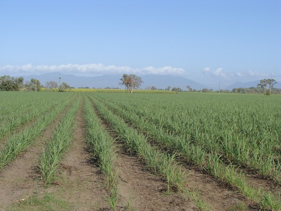 gal/03-Oceanie/32-Australie/02-Queensland/03-route_Toowoomba/01-le_parcours/DSC04326.jpg