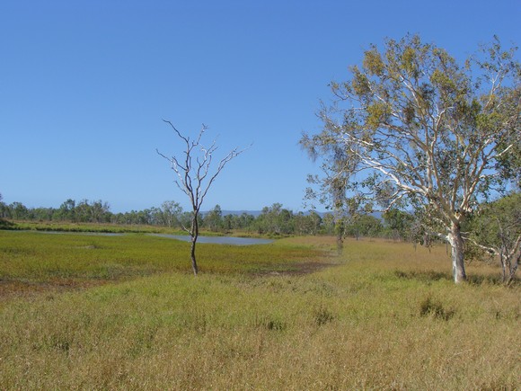 gal/03-Oceanie/32-Australie/02-Queensland/03-route_Toowoomba/01-le_parcours/DSC04333.jpg