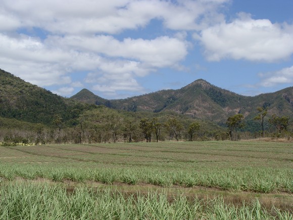 gal/03-Oceanie/32-Australie/02-Queensland/03-route_Toowoomba/01-le_parcours/DSC04345.jpg